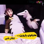تئاتر عروسکی هایکوی پاروزن یکدست