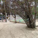 شعبه سعادت‌آباد مجموعه حیاط برای آموزش کودک