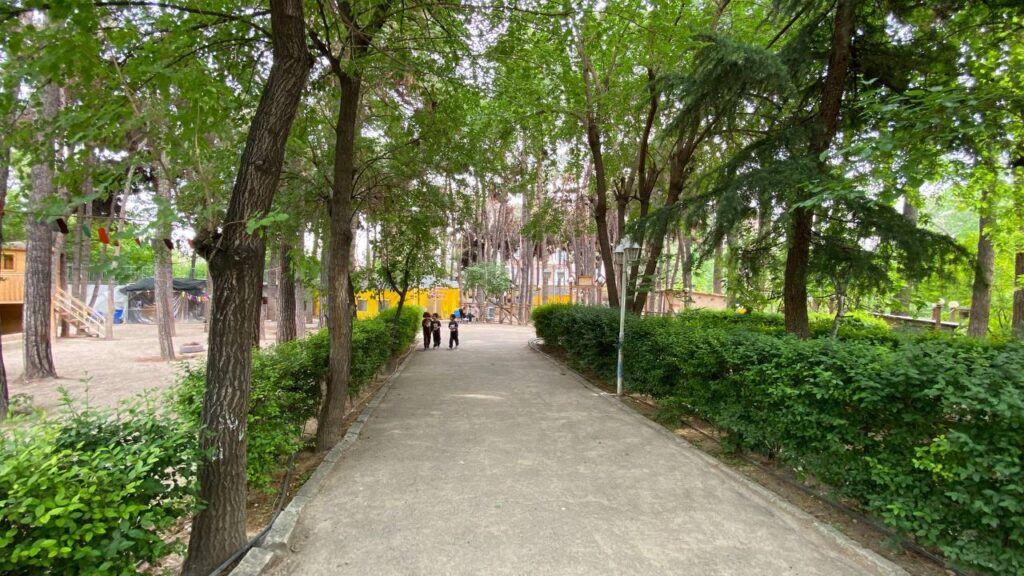 سرگرمی و یادگیری کودک در فضای طبیعی