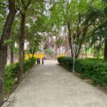 سرگرمی و یادگیری کودک در فضای طبیعی
